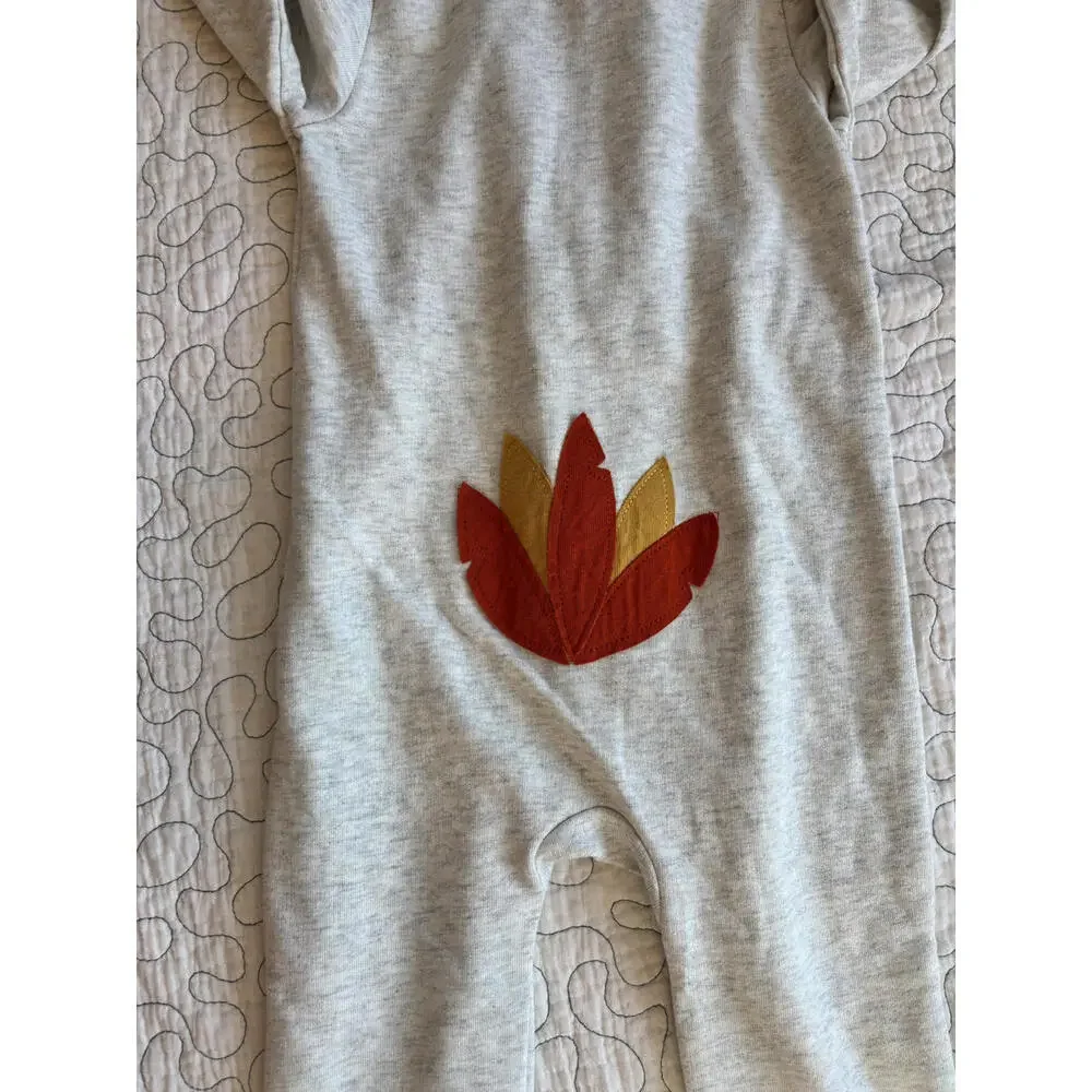Carter's Baby Thanksgiving Outfit‎ Size 24 Months